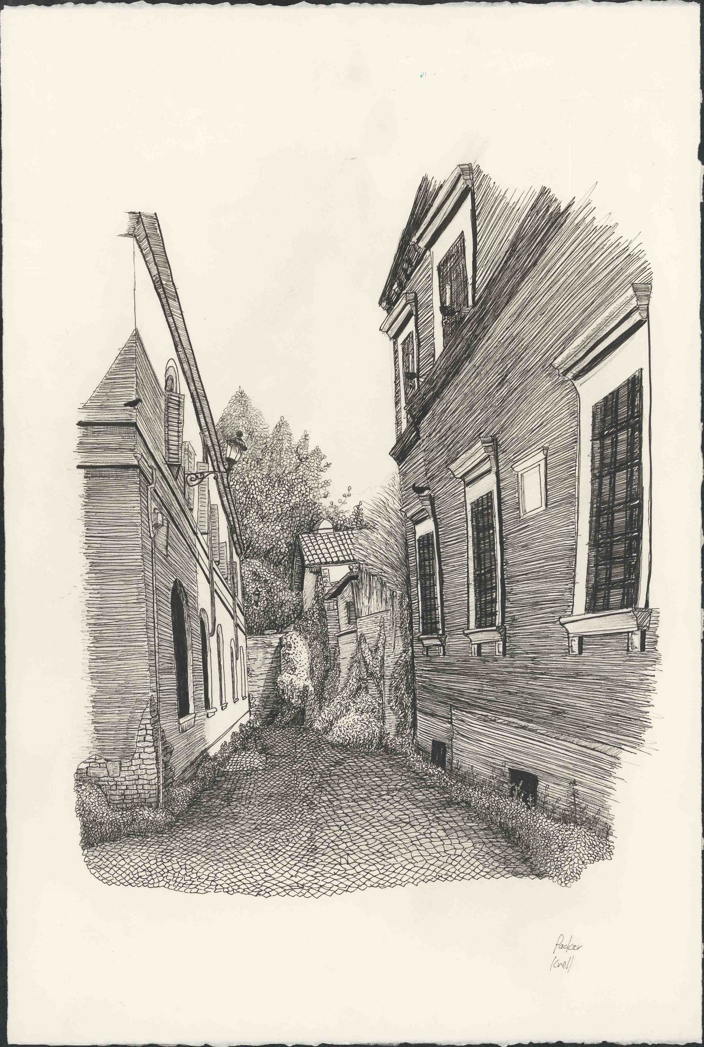 Prints by Packer Knell