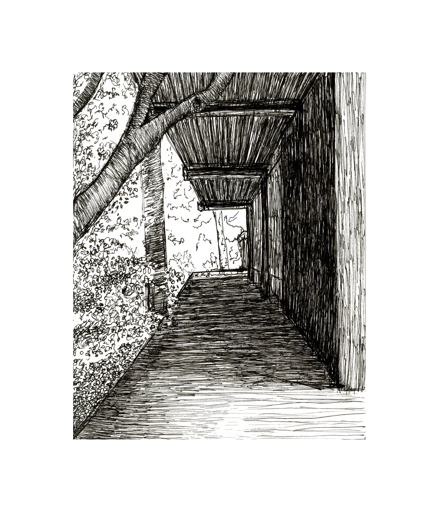Prints by Packer Knell