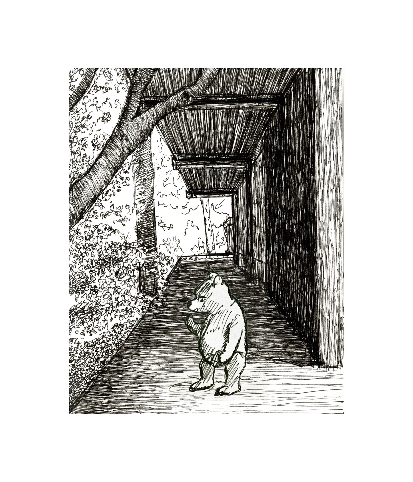 Prints by Packer Knell