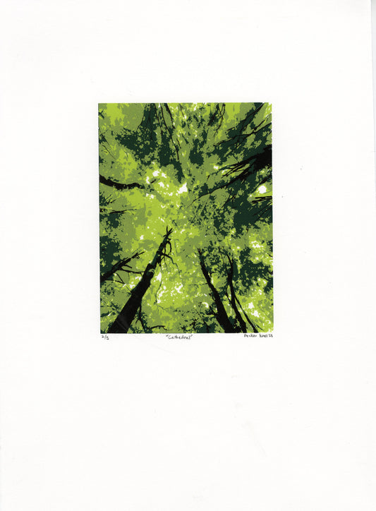 Prints by Packer Knell
