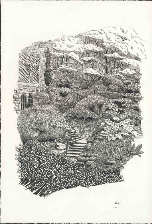 Prints by Packer Knell